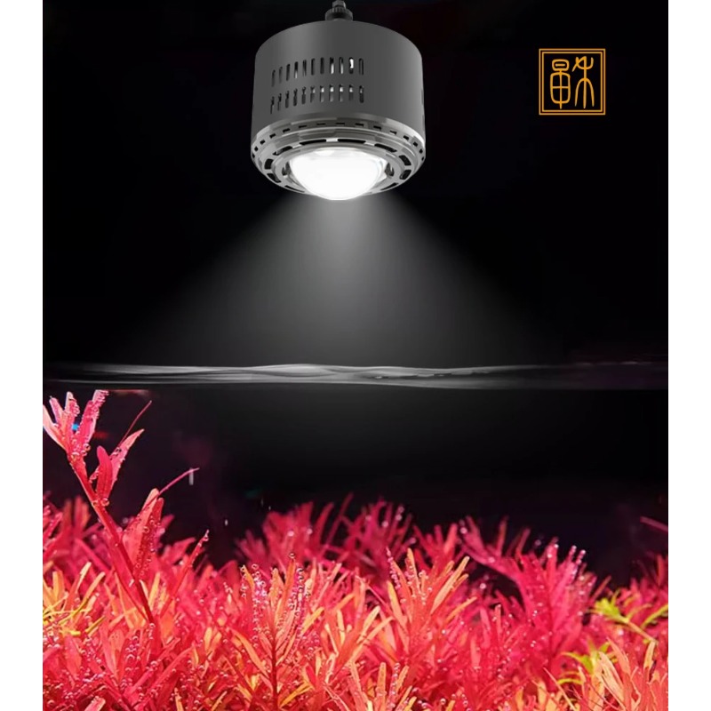100W Timed Dimming Full Spectr – Planted Aquarium Algae recenzja i cena