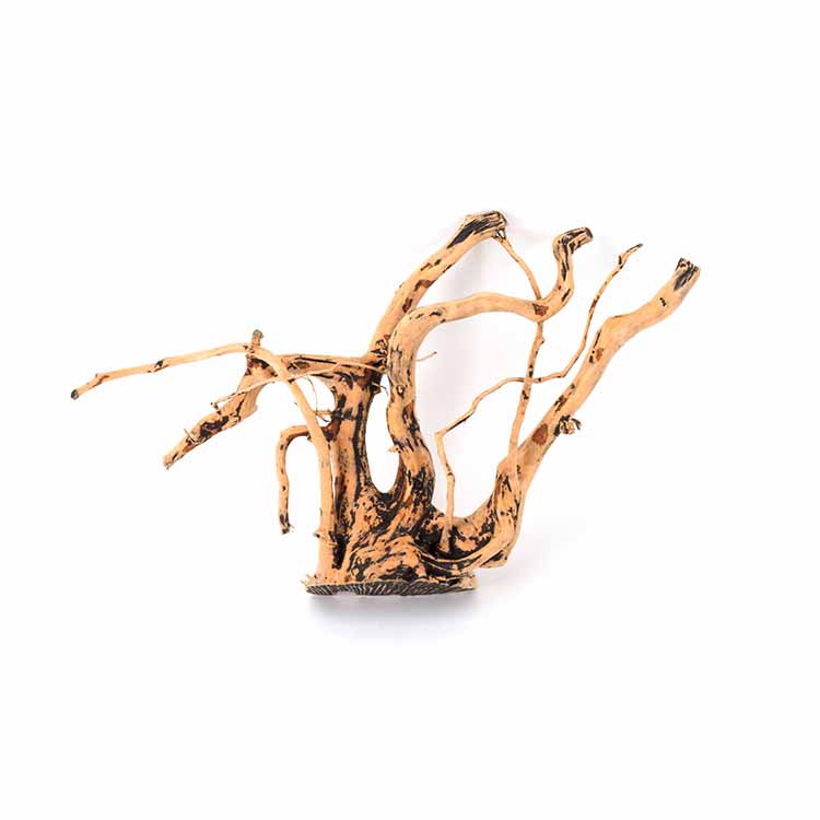 Wholesale Hot Sale Natural Dec – Aquarium Plants For Sale recenzja i cena