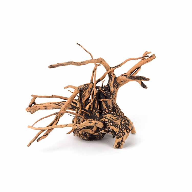 Wholesale Hot Sale Natural Dec – Aquarium Plants For Sale recenzja i cena