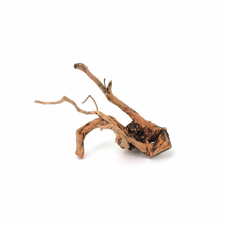 Wholesale Hot Sale Natural Dec – Aquarium Plants For Sale recenzja i cena