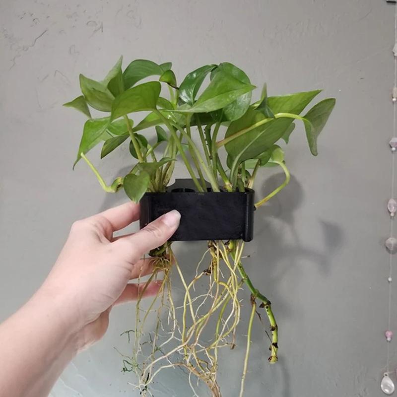1 2 3Pcs Aquarium Plant Suppor – Aquarium Planted Setup recenzja i cena