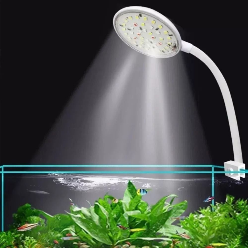 New Mini Fish Tank Clip Lamp 5 – Aquarium Plant Live recenzja i cena