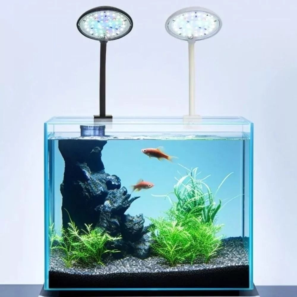 New Mini Fish Tank Clip Lamp 5 – Aquarium Plant Live recenzja i cena