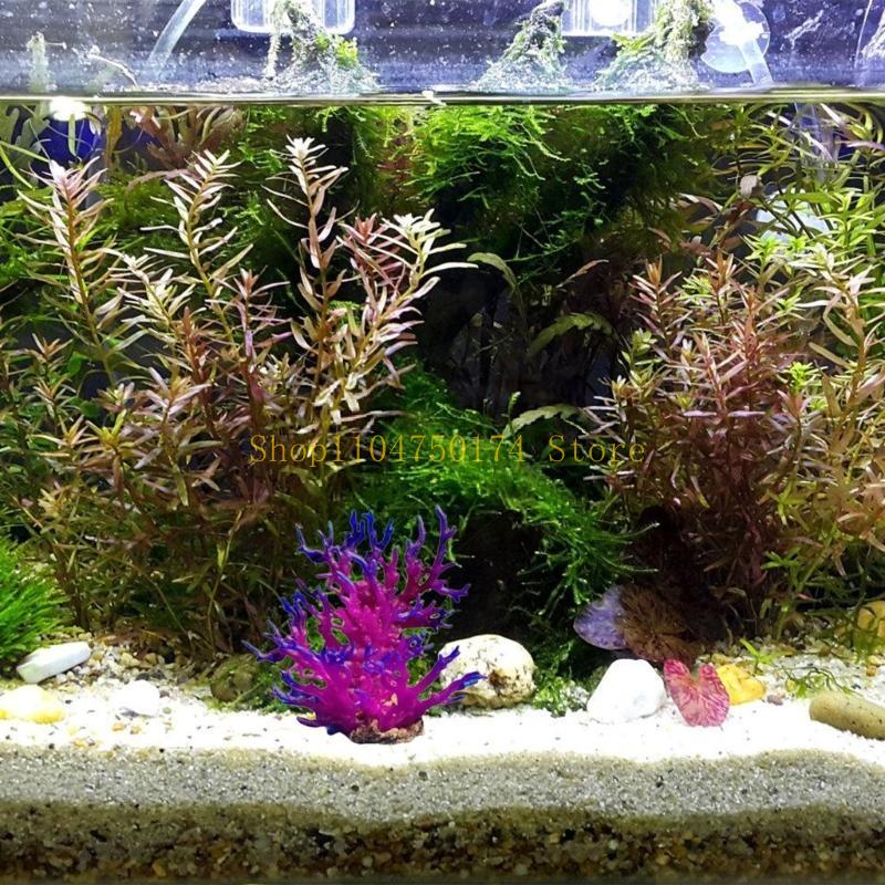 Artificial Water Plant Aquariu – Aquarium Plants For Sale recenzja i cena