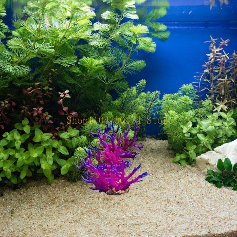 Artificial Water Plant Aquariu – Aquarium Plants For Sale recenzja i cena