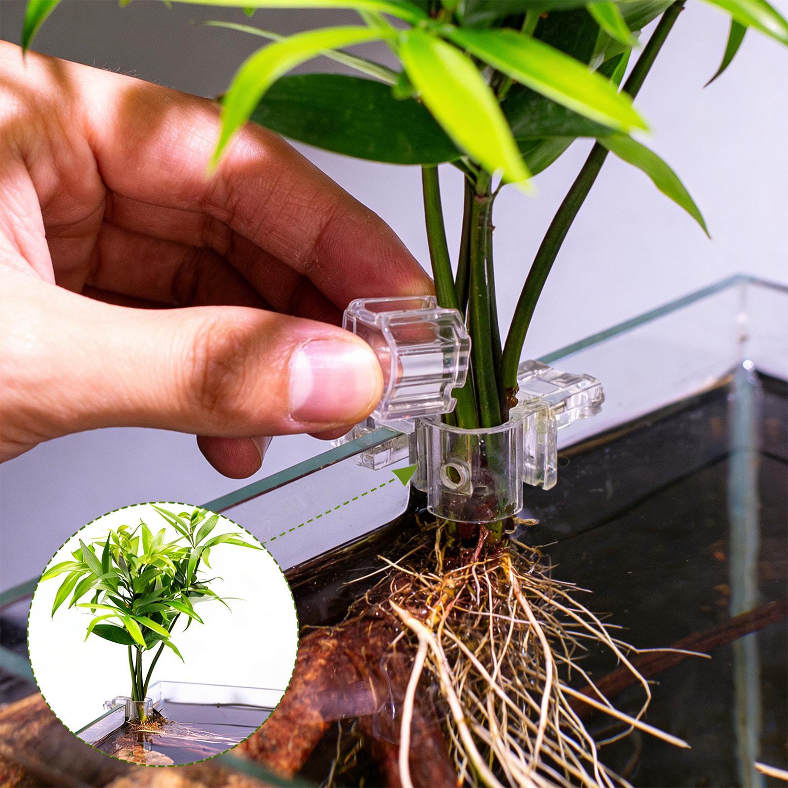 6pcs Aquarium Plant Holders Cl – Aquarium Plant Live recenzja i cena