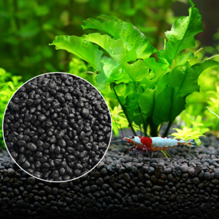 Aquarium Plant Seeds Soil Fish – Aquarium For Planted Tank recenzja i cena