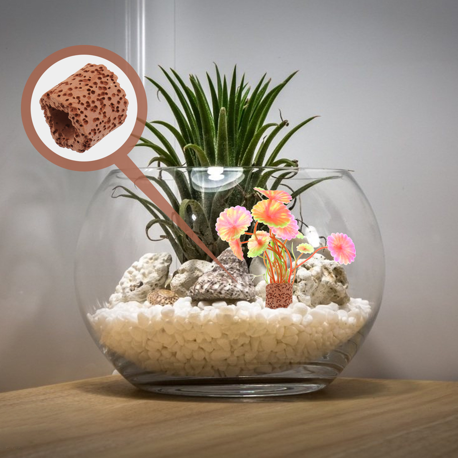 10Pcs Water Plant Fixed Ring S – Aquarium For Planted Tank recenzja i cena