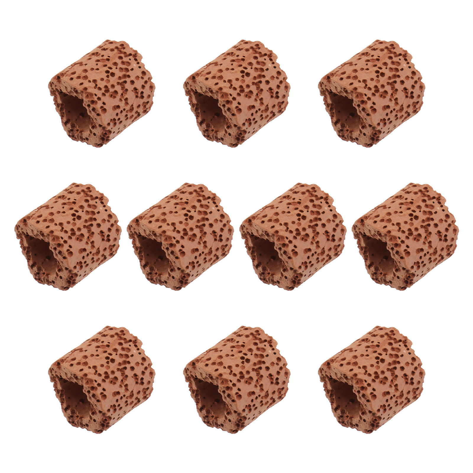 10Pcs Water Plant Fixed Ring S – Aquarium For Planted Tank recenzja i cena