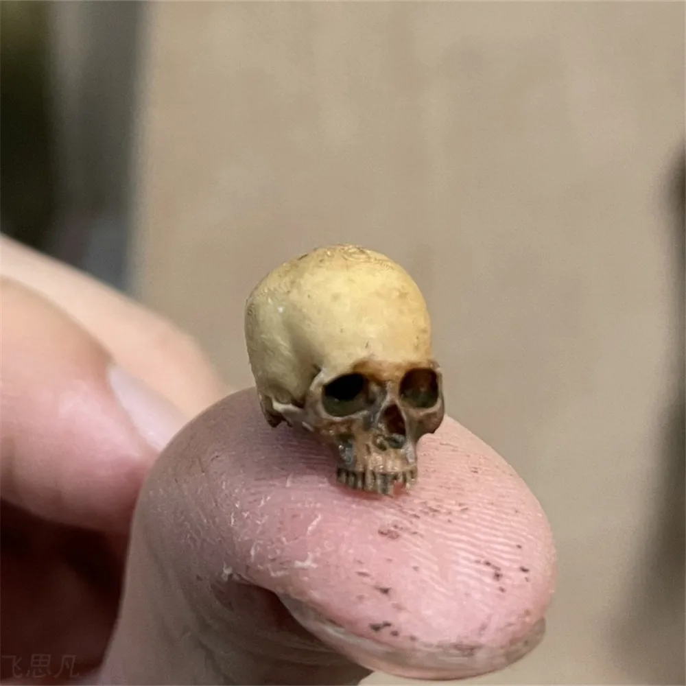 Mini Skull High Quality Miniat – Aquarium Plant In Pot recenzja i cena