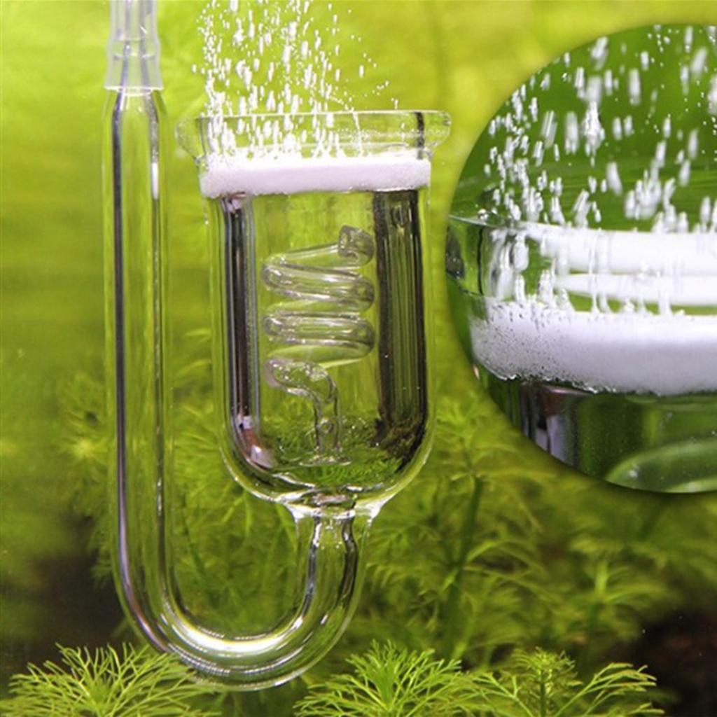 Durable Glass CO2 Diffuser Aqu – Aquarium Planted Setup recenzja i cena