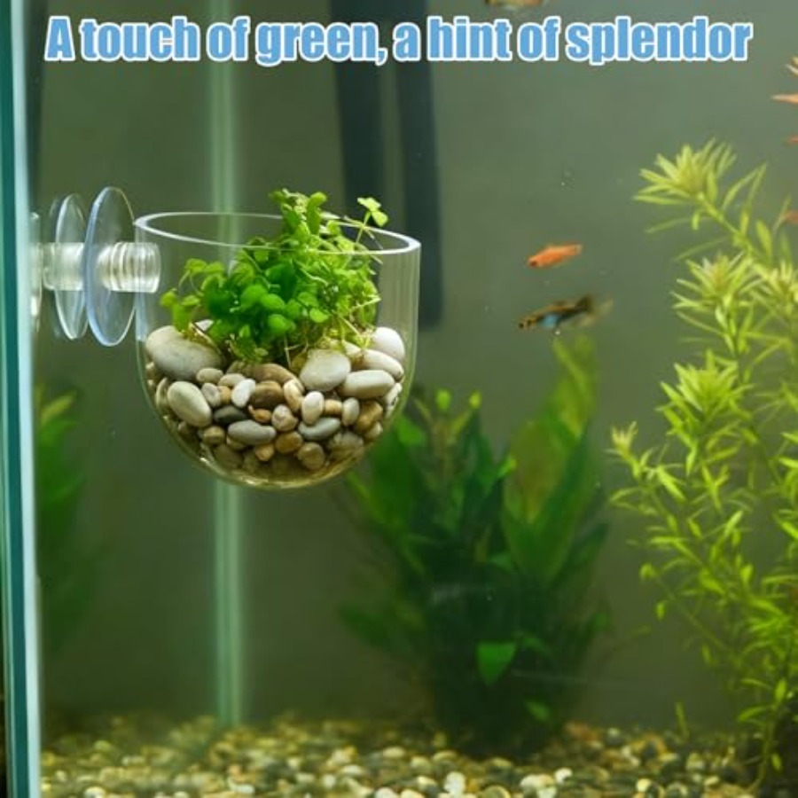 3 Pack Clear Fish Tank Plant H – Aquarium Plant In Pot recenzja i cena