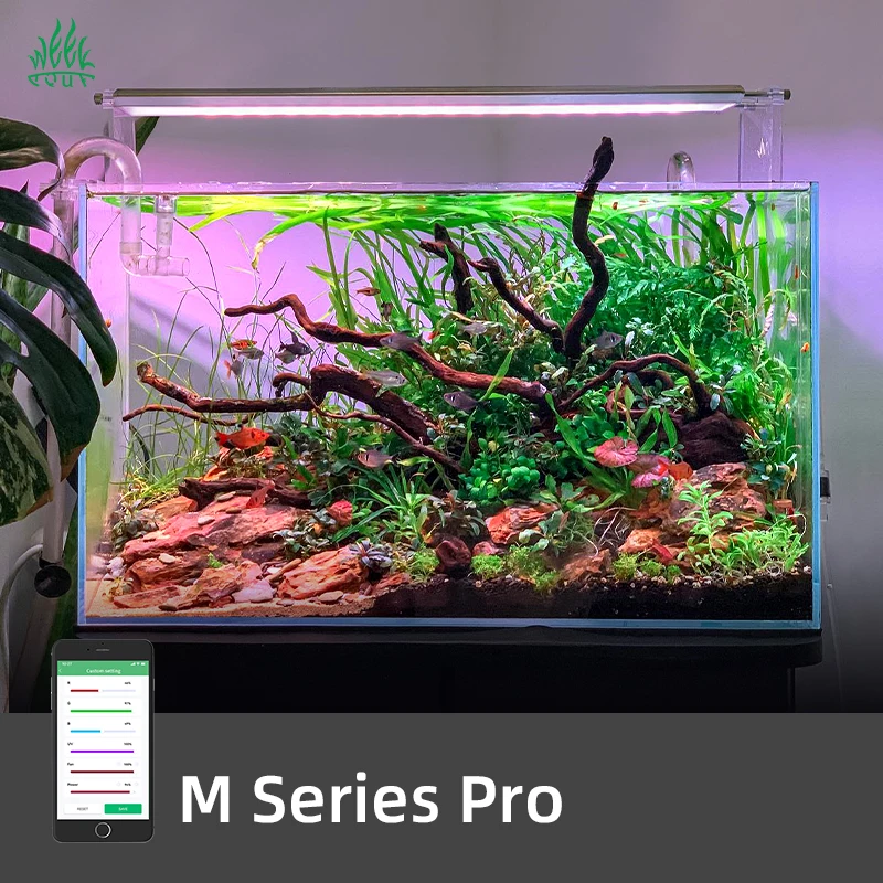 ZXY Hot Sales WEEK AQUA M1200P – Aquarium Plants For Sale recenzja i cena