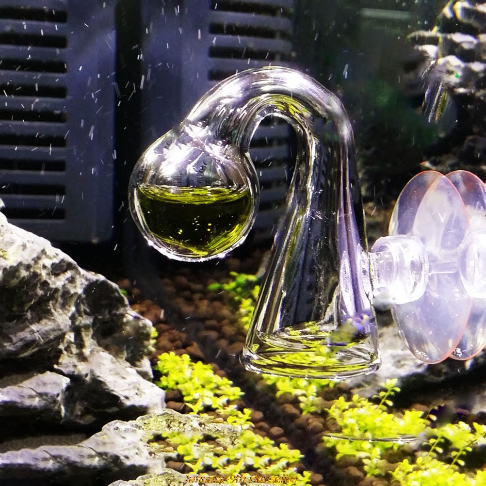 Fish Tank CO2 Diffuse Glass Dr – Aquarium Plant In Pot recenzja i cena