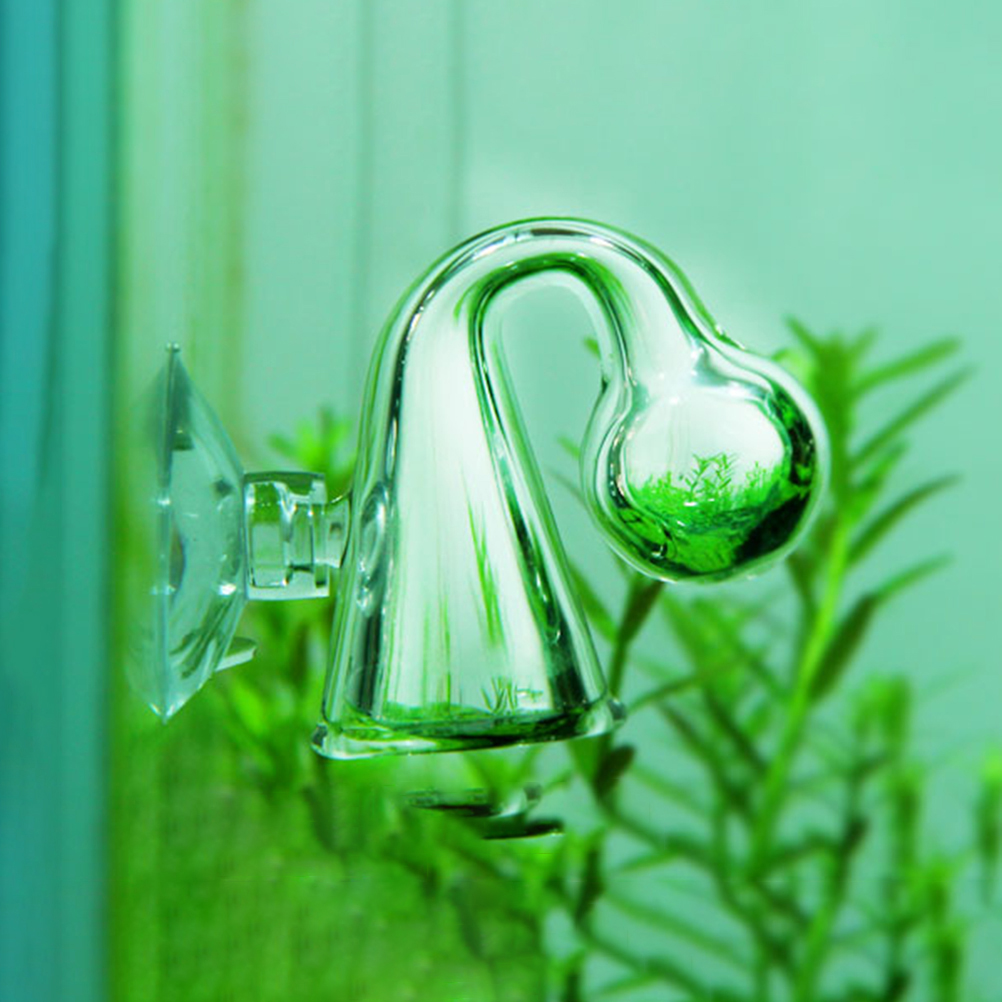 Fish Tank CO2 Diffuse Glass Dr – Aquarium Plant In Pot recenzja i cena