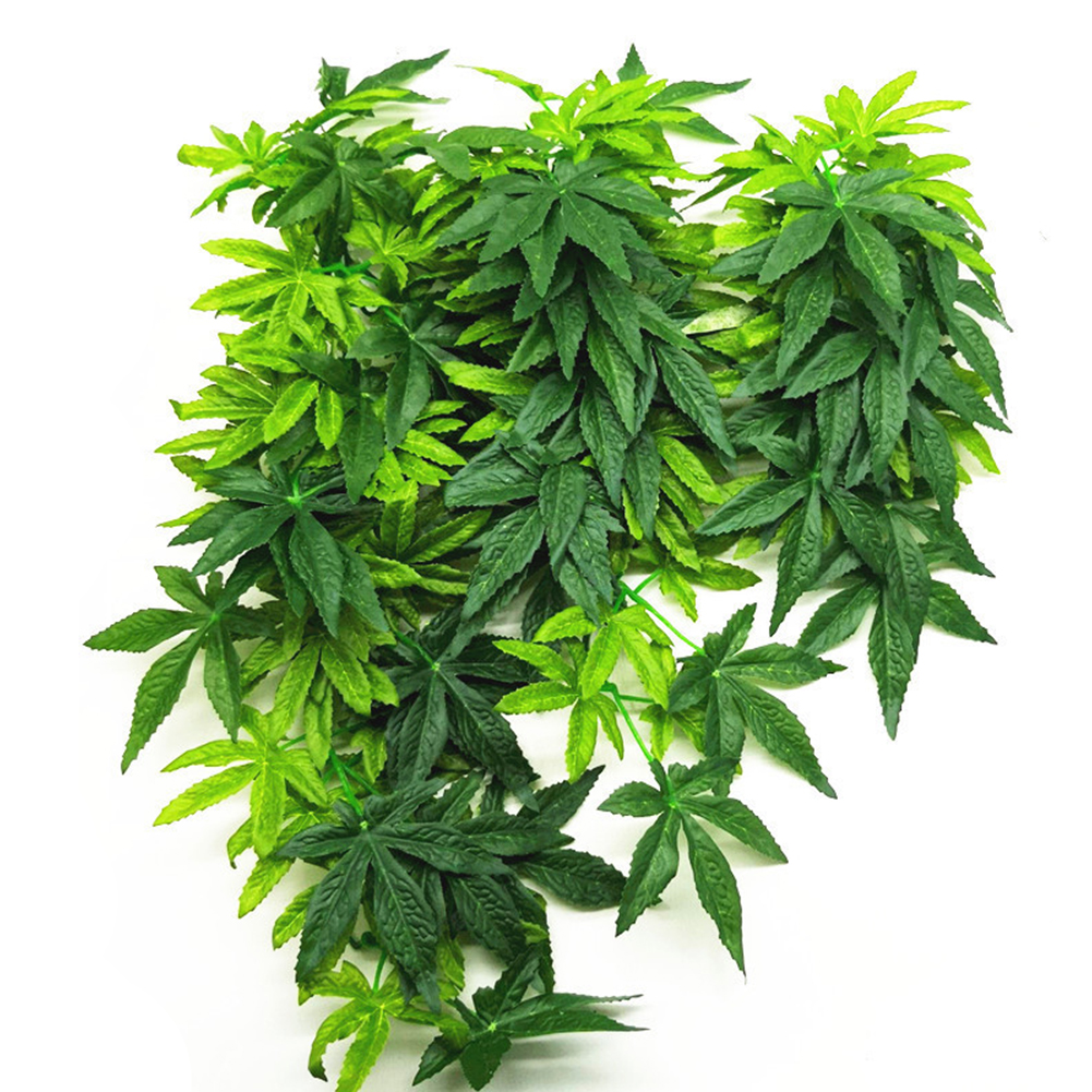 HOT SALE 30/40/50CM Aquarium R – Aquarium Plants For Sale recenzja i cena