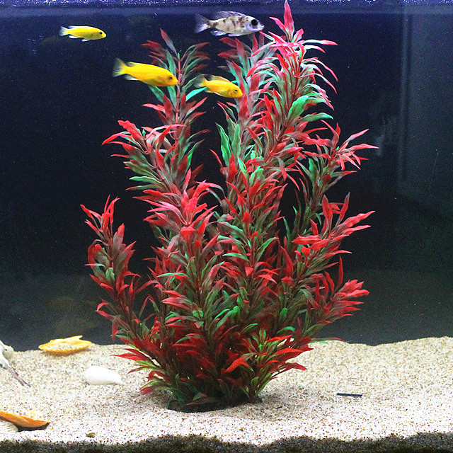 50CM Artificial Fish Tank Rare – Aquarium Plant Delivery recenzja i cena