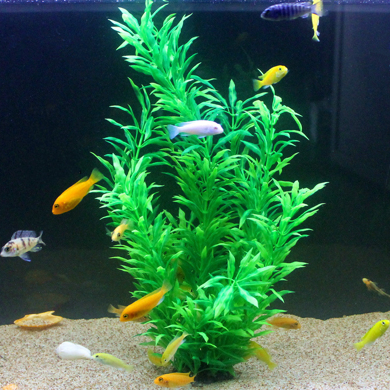 50CM Artificial Fish Tank Rare – Aquarium Plant Delivery recenzja i cena