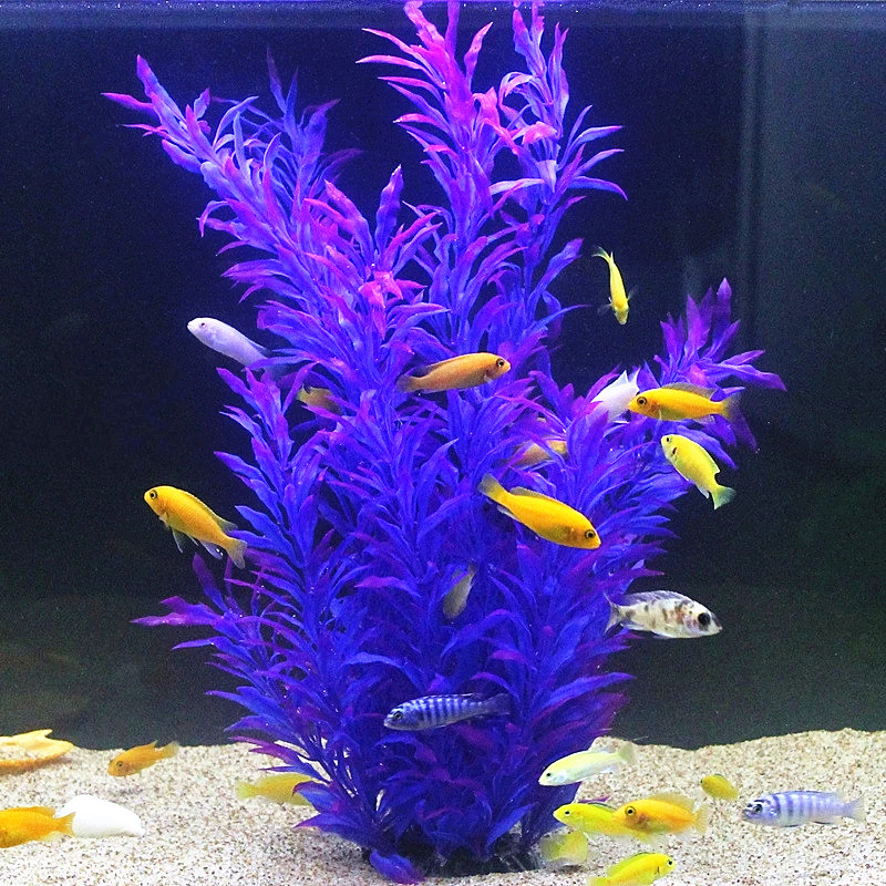 50CM Artificial Fish Tank Rare – Aquarium Plant Delivery recenzja i cena