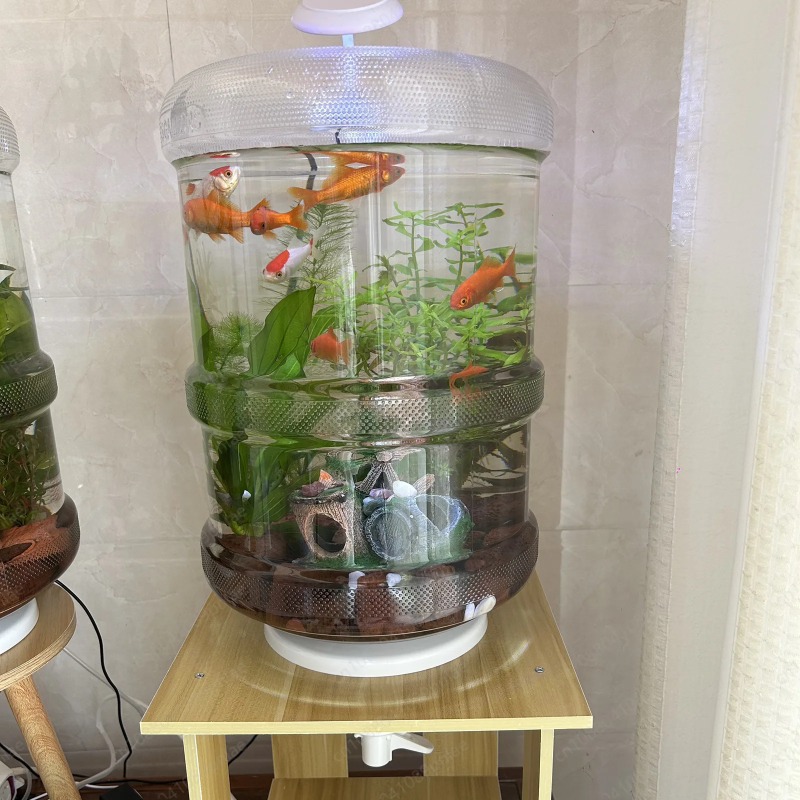 Instant Setup Home Fish Tank 3 – Aquarium Planted Setup recenzja i cena