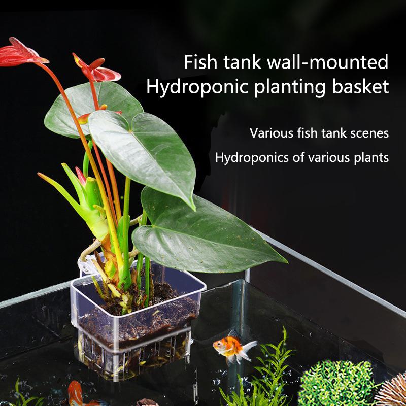 Aquarium Hydroponic Planting C – Aquarium Planted Setup recenzja i cena