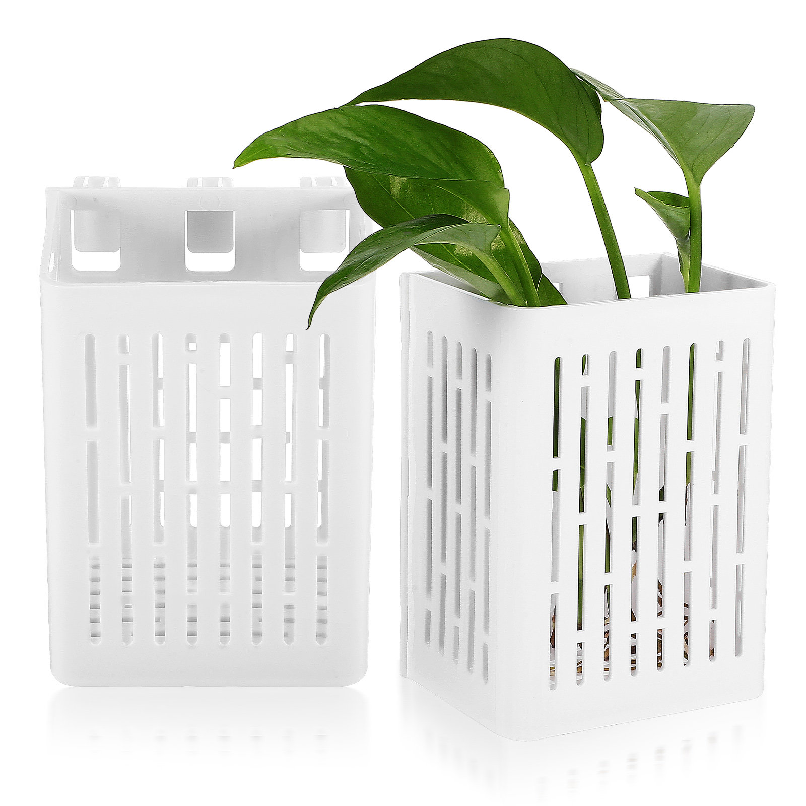2Pcs Hanging Aquarium Planter  – Aquarium Planted Setup recenzja i cena