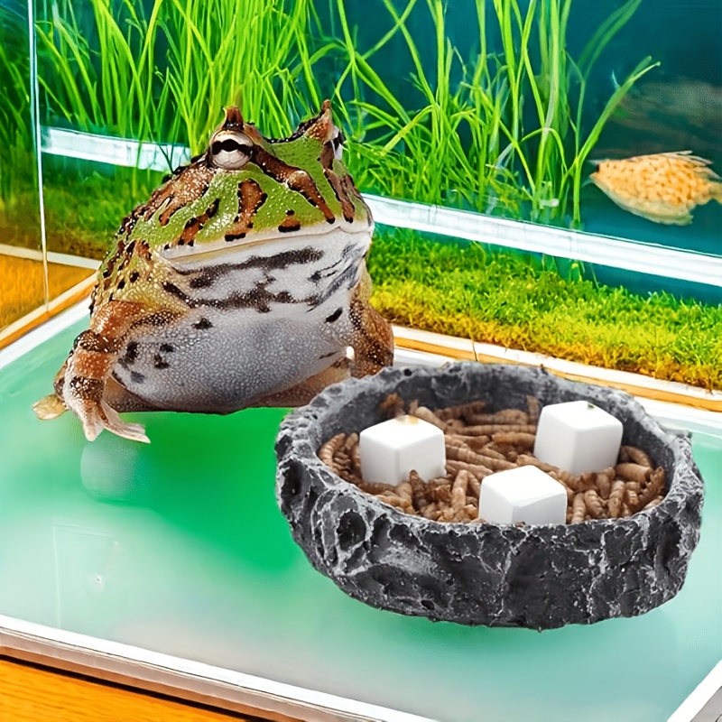 6 Pcs Fish Tank Calcium Block  – Aquarium Plant Live recenzja i cena